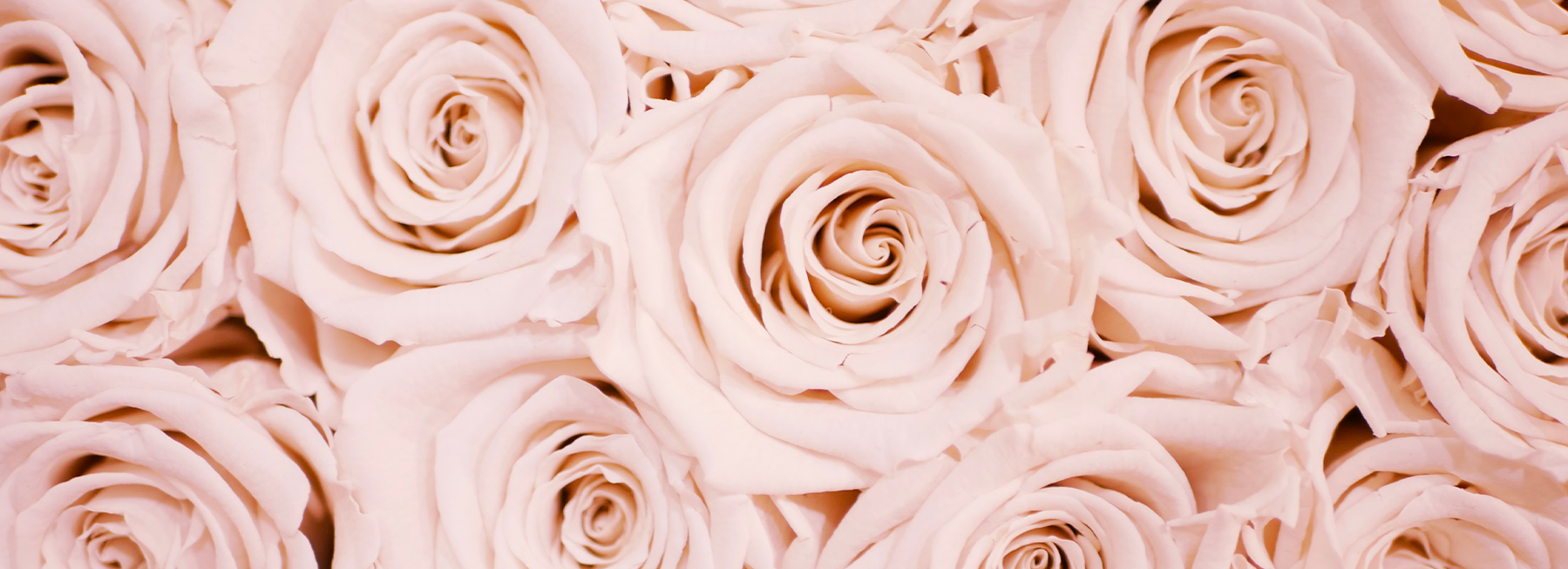 Langage de l'amour — Christabel B