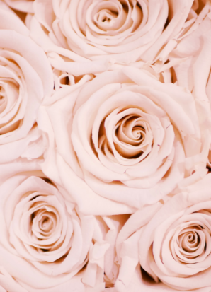 Langage de l'amour — Christabel B