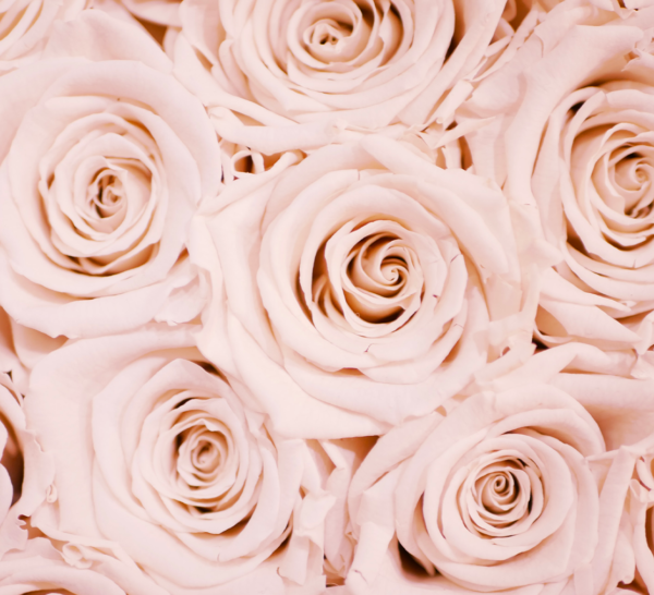 Langage de l'amour — Christabel B