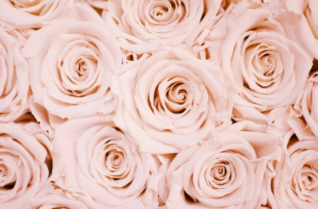 Langage de l'amour — Christabel B