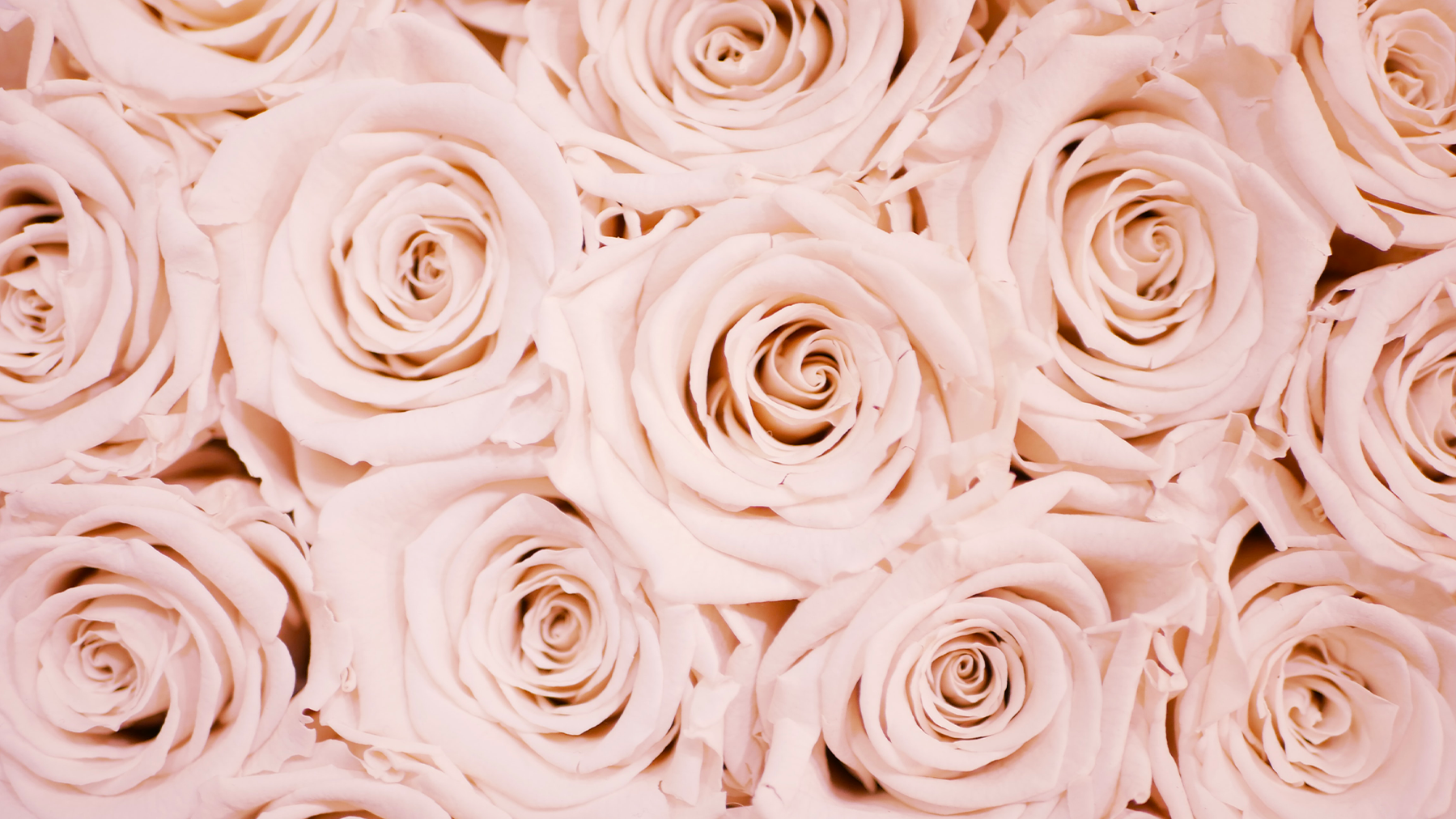 Langage de l'amour — Christabel B
