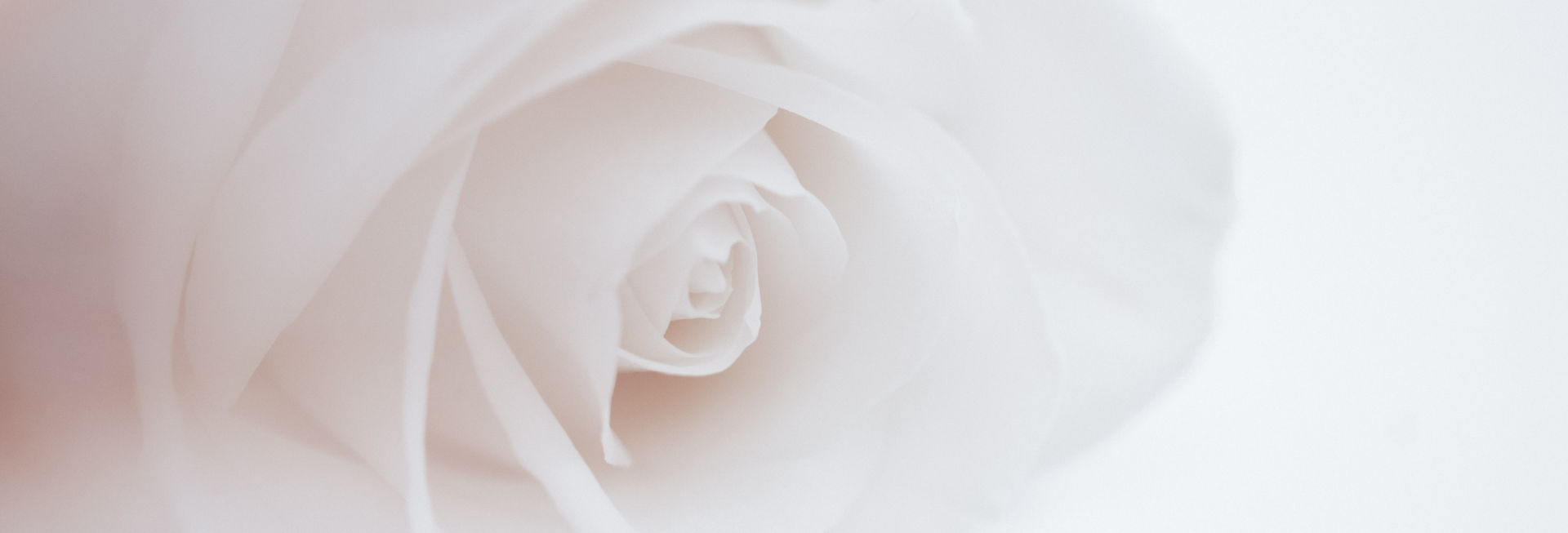 Sometimes it is the quiet, unseen moments that hold the most significance.
