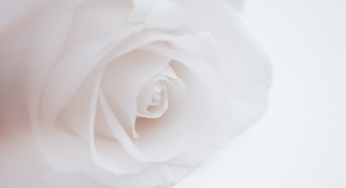 The quiet, unseen moments…