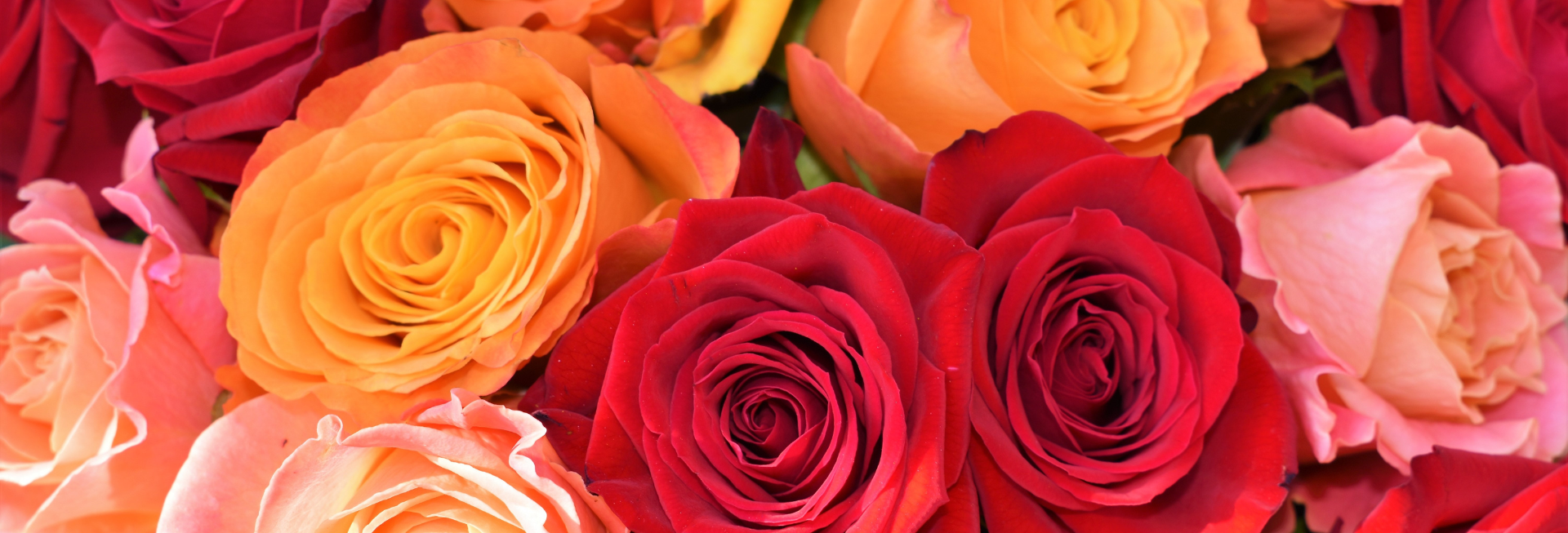 The friendship is the instrument by which God reveals to each of us the beauties of others.