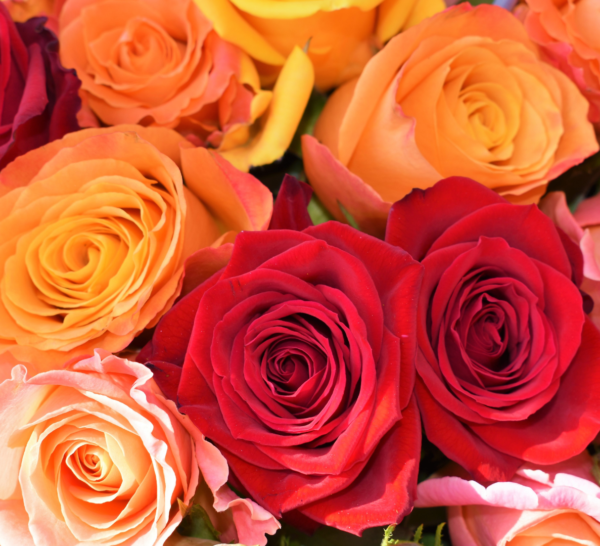 The friendship is the instrument by which God reveals to each of us the beauties of others.