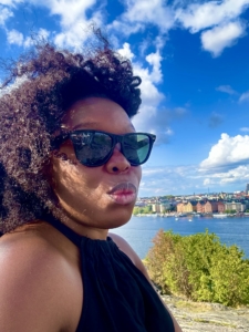 📍Skinnarviksberget