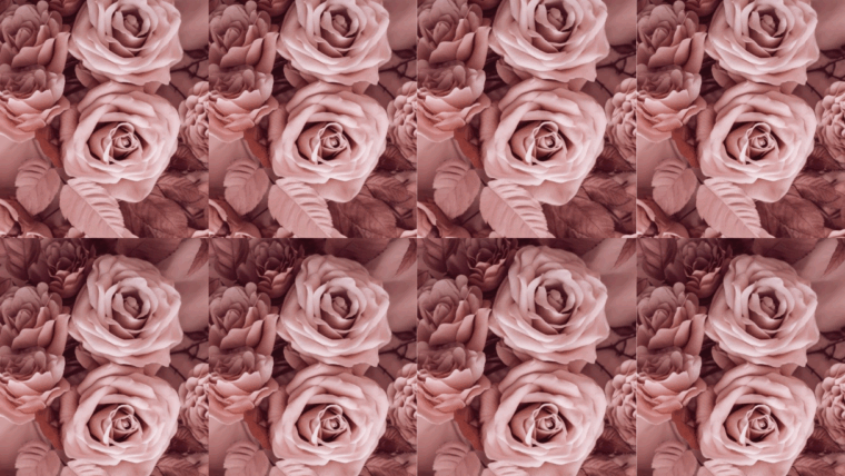 “Momentum solves eighty percent of your problems." John C. Maxwell