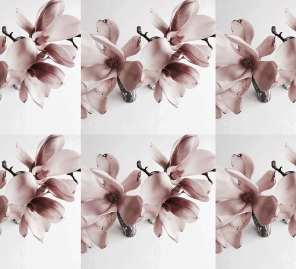 There's no greater act of courage than heading straight into what you fear the most. Trusting you can, knowing you must.