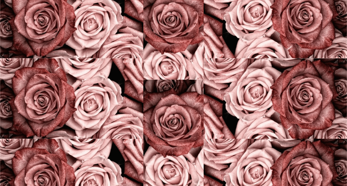 Be curious. Read widely. Try new things.