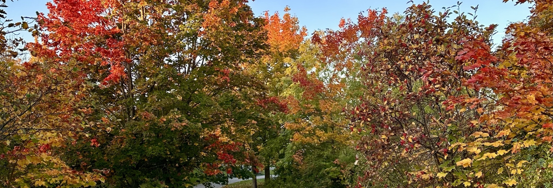 Vivre au rythme des saisons 🍂