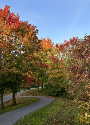 Vivre au rythme des saisons 🍂