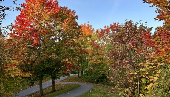 Vivre au rythme des saisons 🍂