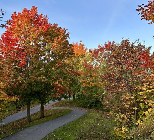 Vivre au rythme des saisons 🍂
