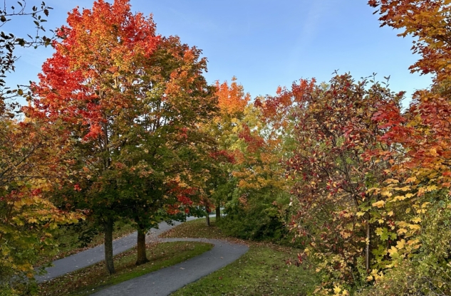 Vivre au rythme des saisons 🍂