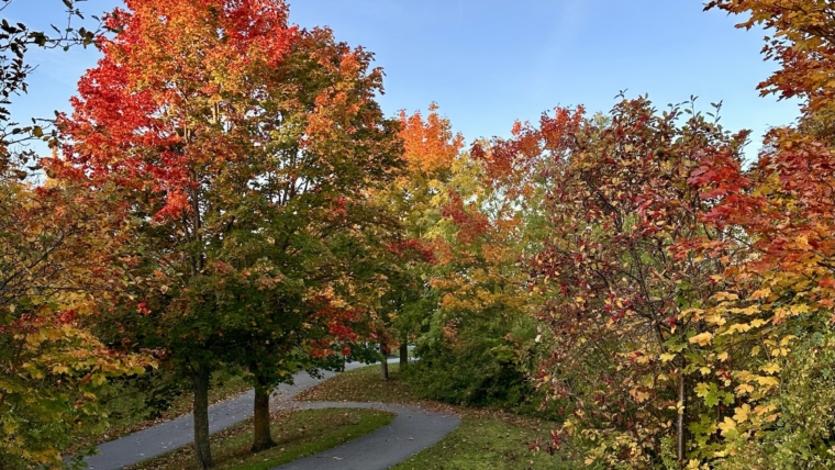 Vivre au rythme des saisons 🍂